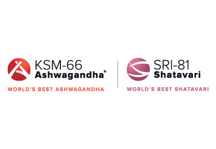 ksm logo